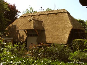 thatched roof, reed roof on an agritourism building