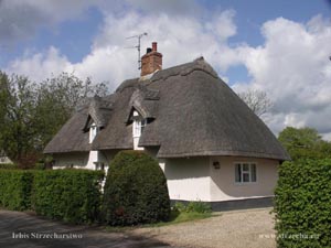 thatched roof, straw roof in a country house in England