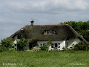 thatched roof in a country cottage