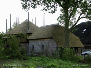 thatched roof, reed roof, reed covering on farm buildings