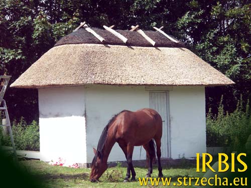Thatched storage for horse feed