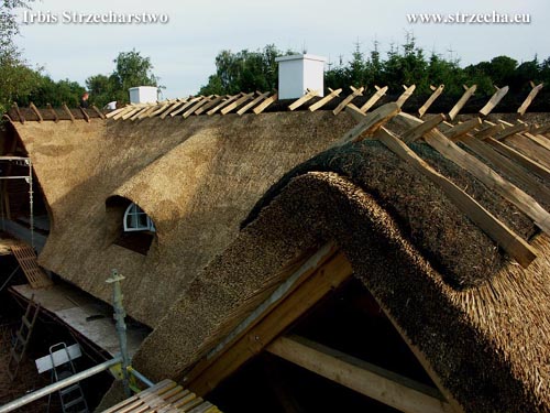 New thatched roof with heather ridge - reed roof Irbis