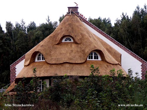 Reed roof Irbis Reserve Beaver - thatched roof at a new home - West Pomerania!