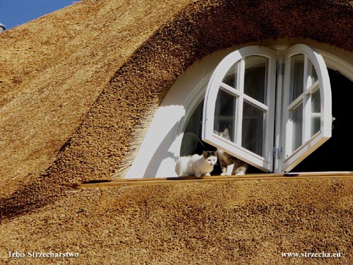 The thatched roof windows can open outwards - the implementation of the Irbis thatch