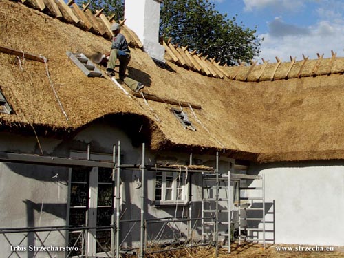 Constructional imagination of thatch above the entrance to the building - thatched roof - Irbis Thatching Rethatching Services