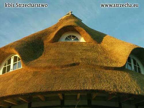 Thatch cottage: almost the end