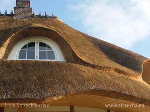 Reed roof: thatched roof window 'eye crop' Irbis Thatcher