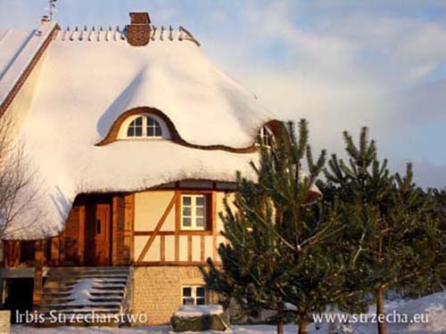 Thatching - thatched roof when snow covers it