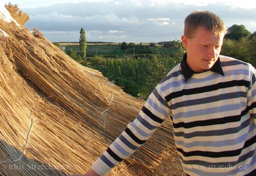 Irbis Thatching: thatch in the Netherlands is my everyday