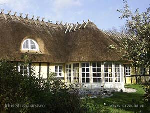 Irbis Thatching Rethatching Services: renovation of thatch in Denmark in Aalsrode - 2005