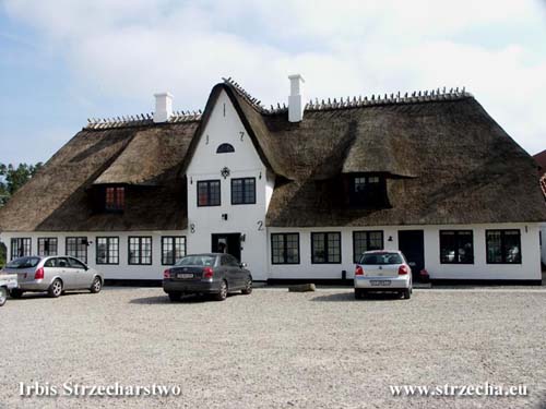 Thatch in Rinkenaes - during the thatched roofing, the shape was changed, the spacing was increased and the windows were enlarged