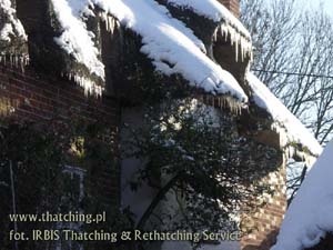 Straw roof and icicles decorated with icicles in Wildshire