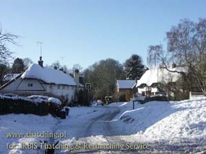 Thatch of reeds in Wildshire - recreational village full of charm in the winter