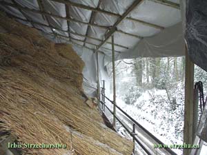 Straw roof covering during winter - England